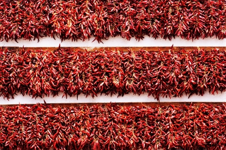 Hungarian Paprika  red pepper  garlandの写真素材