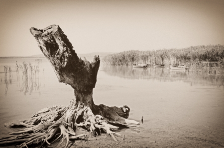 Vintage photo of Lake Balaton, Hungaryの写真素材