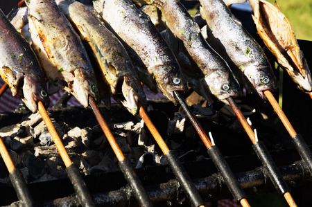 Trouts on grill ( Trout festival , Tapolca ), Hungaryの写真素材