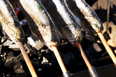 Trout on grill ( Trout festival, Tapolca ) , Hungaryの写真素材