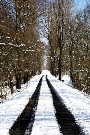 Snowy winter roadの写真素材