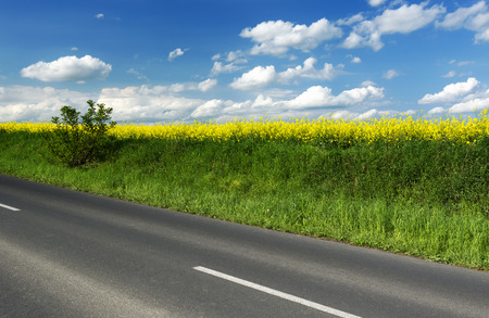 Main road near canolaの写真素材
