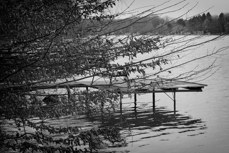 Detail of Lake Szeki in Hungaryの写真素材