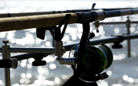 Rods close up at Lake Balaton. hungaryの写真素材