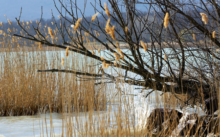 Landscape at Lake Balaton, Hungaryの写真素材