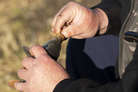 Angler with fish at Lake Balaton, Hungaryの写真素材