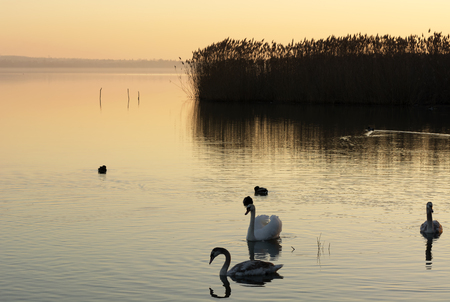 Sunset at Lake Balaton, Hungaryの写真素材