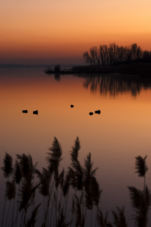Sunset at Lake Balaton, Hungaryの写真素材