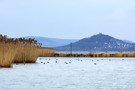 Landscape of lake Balaton, Hungaryの写真素材