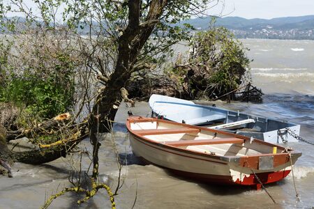 Wild coast at Lake Balaton, Hungaryの写真素材