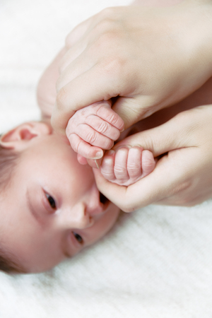 Cute little palms of newborn baby in mother's handsの写真素材