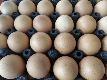 Eggs on plastic panels for egg shopsの写真素材
