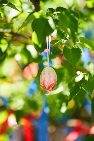 Easter egg hanging on the tree - Holloko village, Hungary Countryの写真素材