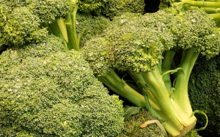 Heads of Broccoliの写真素材