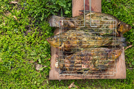 Grilled fish tench in grille on woodの写真素材