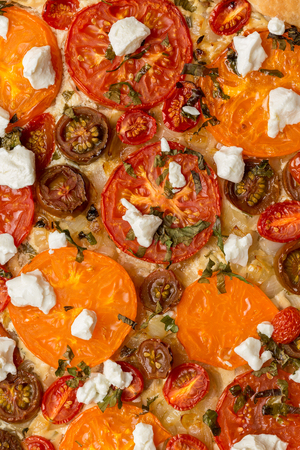 tomatoes tart with cottage cheese. Vertical image.の写真素材