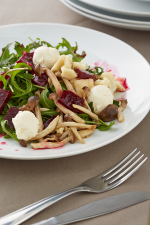 a vegetable salad with fillet and curdの写真素材