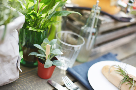 a hot dog bun served on the white plate, an empty glass and an eden collection plant on the wooden...