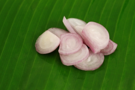 Onions in green Backgroundの写真素材