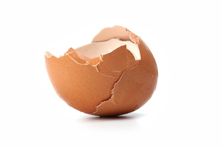 eggshell in white background