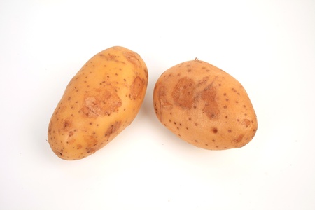 potato in white background の写真素材