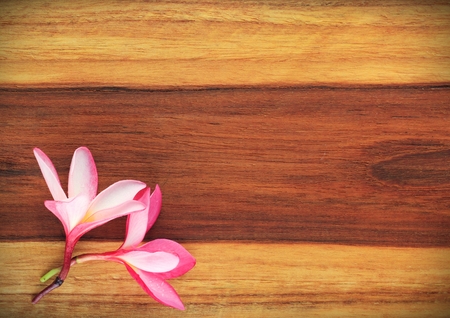 Close up of plumeria  on the woodの写真素材