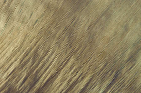 Wood texture backgroundの写真素材