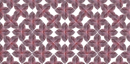 leaves pattern backgroundの写真素材