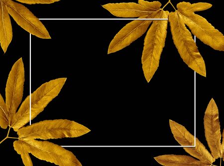 Golden painted leaves creative on black background and empty square frame for copy space on  background. Flat lay. Nature concept.の写真素材