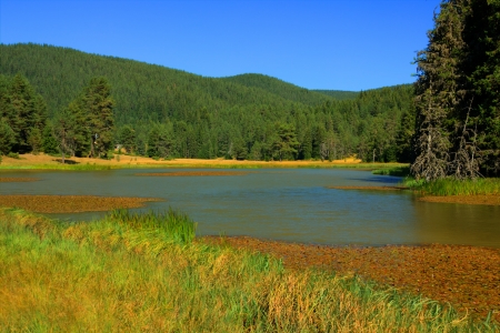 High mountain landscape with lakeの写真素材