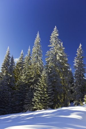 Winter landscape in a mountainの写真素材