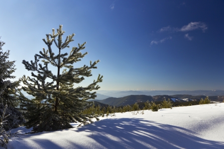 Winter landscape in a mountainの写真素材