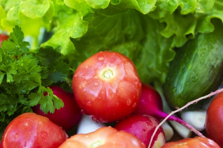 Fresh vegetablesの写真素材