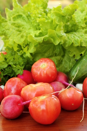 Fresh vegetablesの写真素材