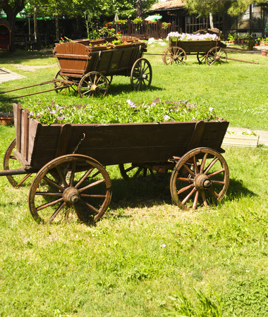 Beautiful decorated spring gardenの写真素材