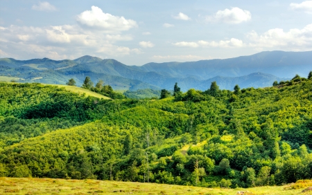 Mountain landscapeの写真素材