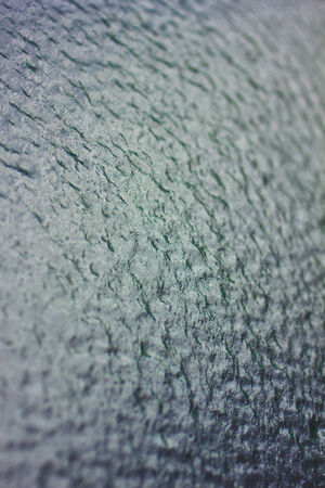 Icy windowの写真素材