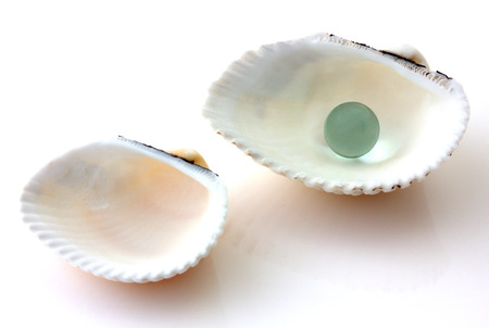 Shells with pearl isolated on white