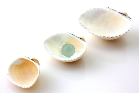 Shells with pearl isolated on whiteの写真素材