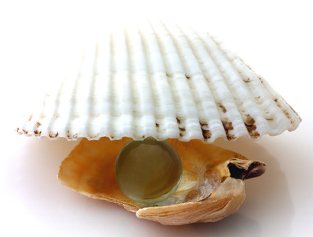 Shells with pearl isolated on white