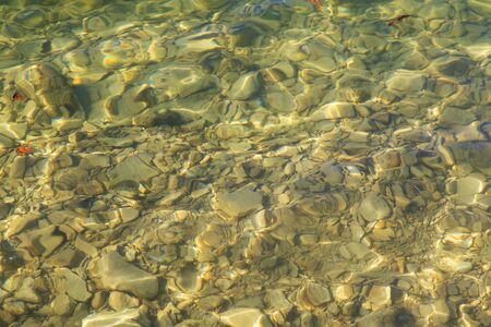 Dry autumn leaves and water reflections