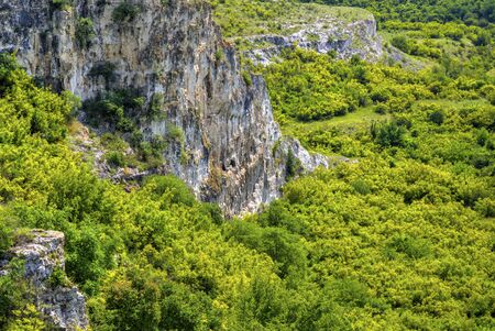 Beautiful summer landscapeの写真素材