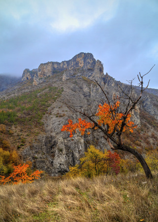 Beautiful landscape in the mountain with colorful autumn forestの写真素材