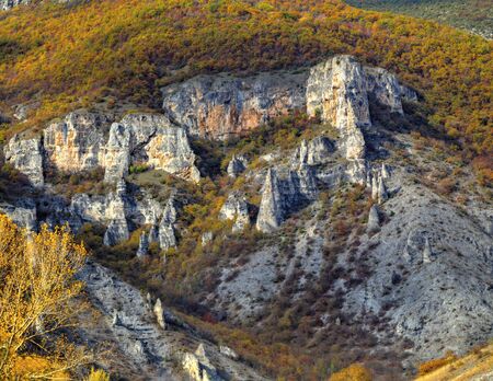 Beautiful landscape in the mountain with colorful autumn forestの写真素材