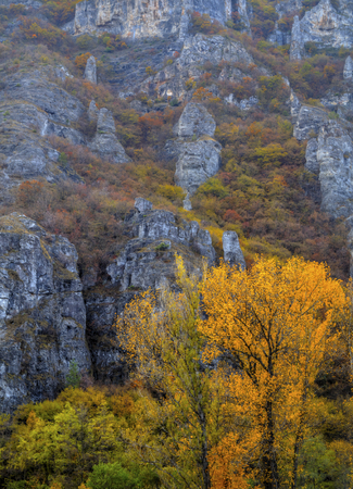 Beautiful landscape in the mountain with colorful autumn forestの写真素材