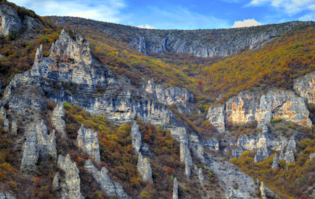 Beautiful landscape in the mountain with colorful autumn forestの写真素材