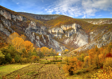 Beautiful landscape in the mountain with colorful autumn forestの写真素材