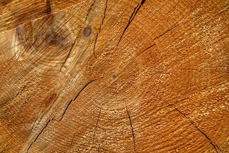 Colorful wooden texture closeupの写真素材