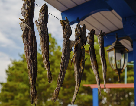 Dried fish hanging on a rope closeup