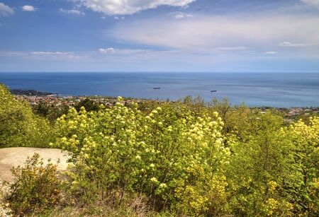 Beautiful landscape with blue sky, sea and fresh green forestの写真素材